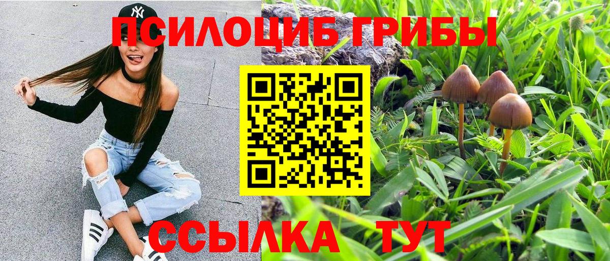 Псилоцибиновые грибы GOLDEN TEACHER  Галлюциногенные грибы MAGIC MUSHROOMS  Вход с VPN  Всеволожск 