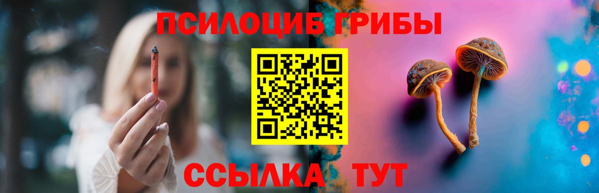 Псилоцибиновые грибы GOLDEN TEACHER Всеволожск